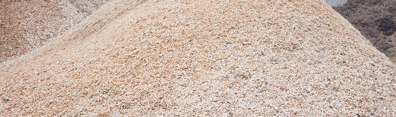 WMH Developments Biomass
