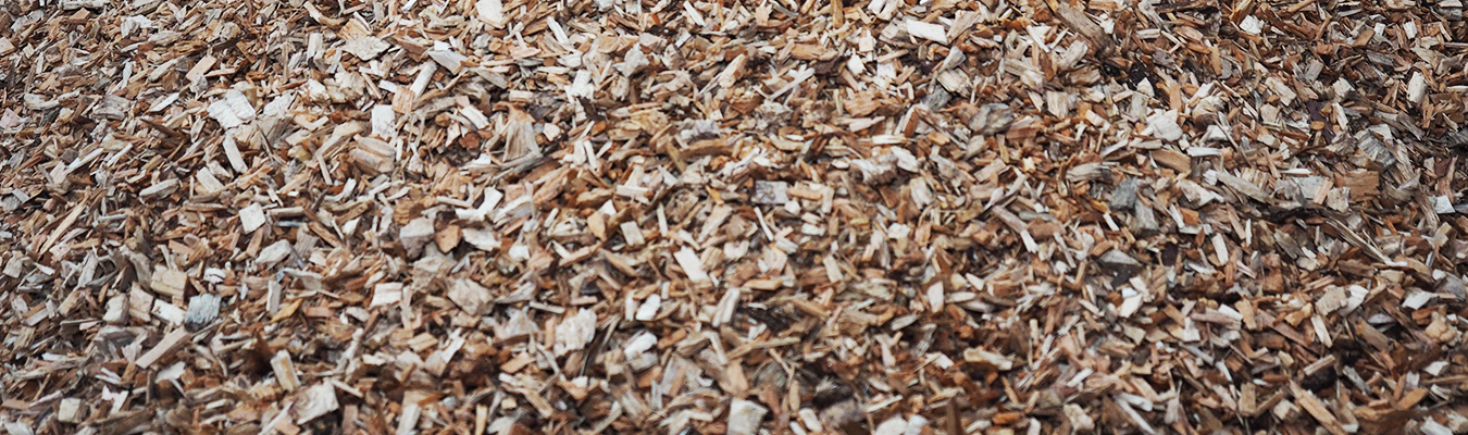 Wood chipped and ready for biomass fuel